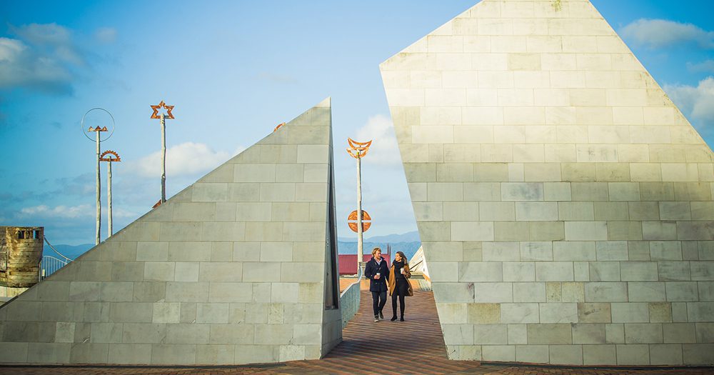 Discover creativity around every corner in New Zealand: Top reasons to visit Wellington & Marlborough!