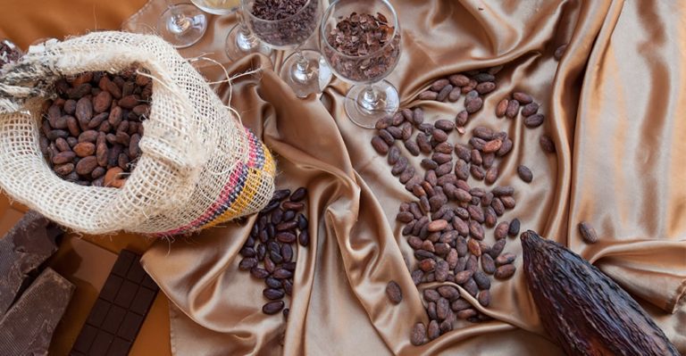 Ecuador: Land of Chocolate