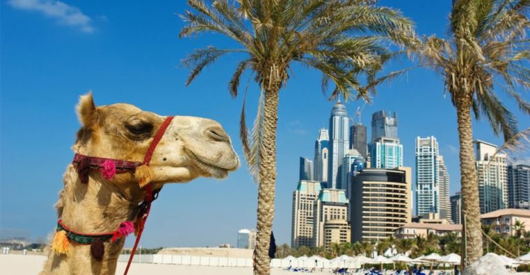 Lights, Camera, Tourism in the Arabian Gulf