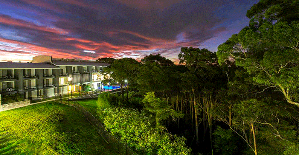 Christmas comes early at Best Western Hotels & Resorts