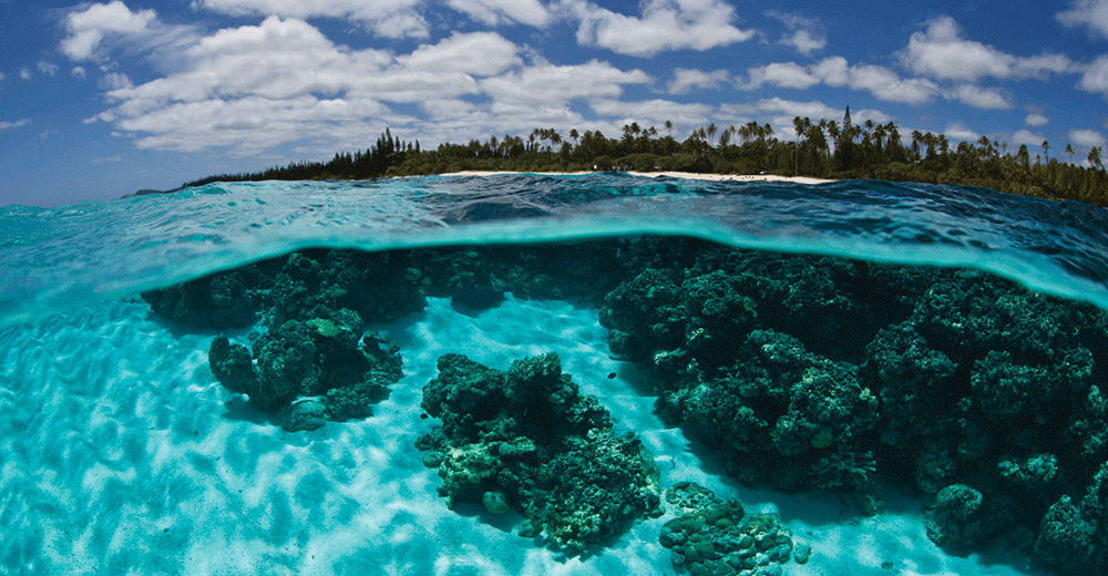 NewCaledonia
