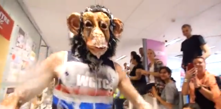 Ape