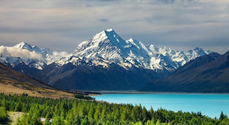Have you seen this side of New Zealand?