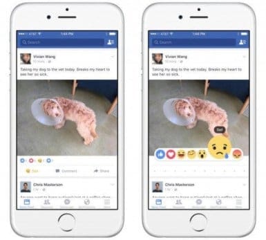 fb-like-button-533x480