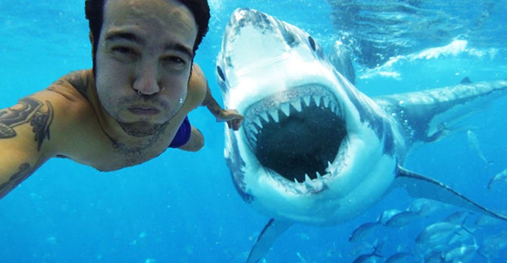 New stats reveal selfie deaths are more common than shark attacks