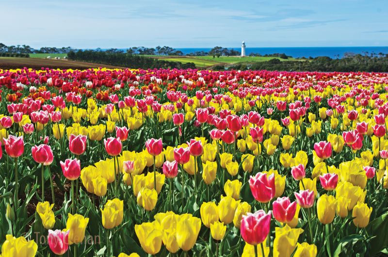 Australia’s Bucket List Experiences 5 Image Source: travel2next.com