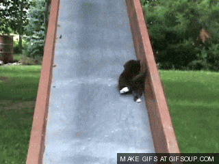 Bye b#tches: flight attendant pulls emergency slide & leaves 18 kitten-slide-o