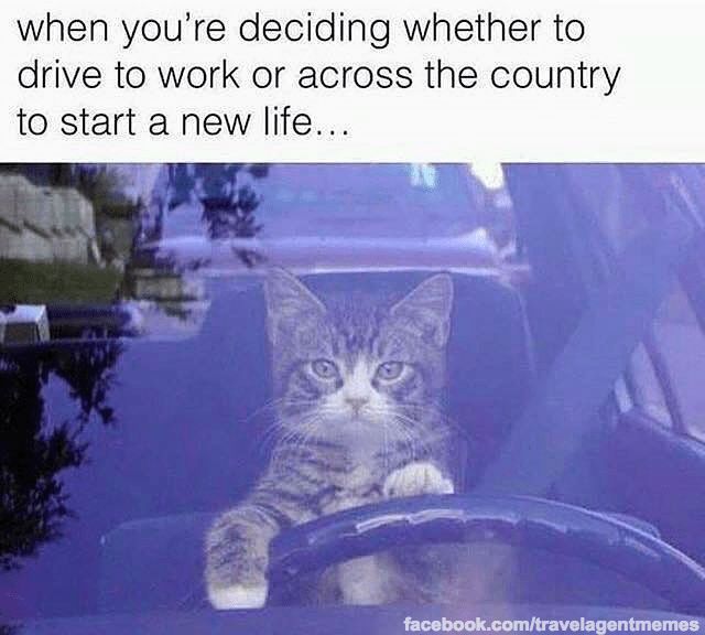 Top 4 Travel Agent memes 16 13327615_1034531219961815_3541644855380629601_n