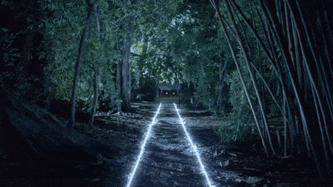 Anna Faris stars in Air NZ's new Hollywood safety video 11 giphy