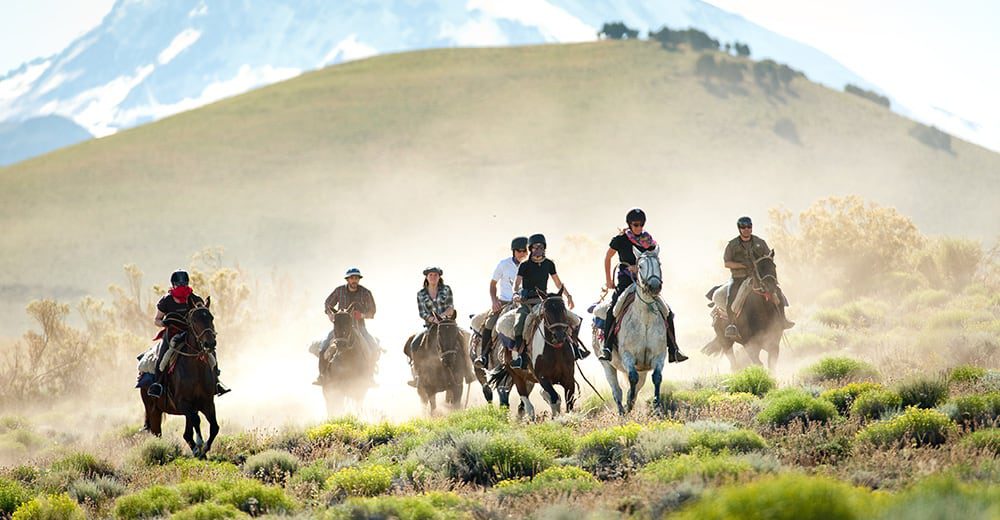 Top 5 places in the world to go on an equestrian tour