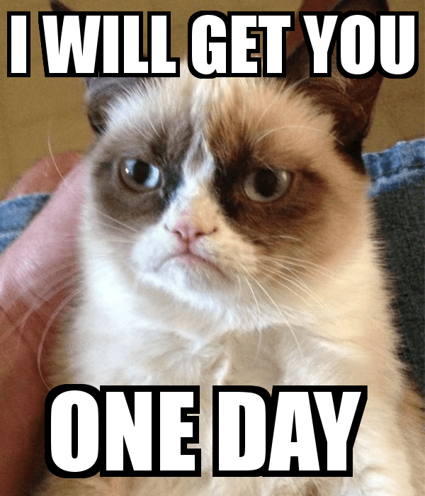 i-will-get-you-one-day.jpg