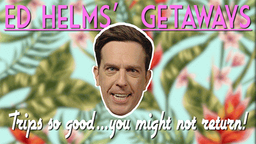 EXPO! EXPO! 10 top tips for a kick ass Flight Centre EXPO 19 giphy-1