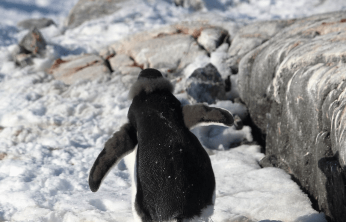 screen-shot-2016-11-28-at-11-22-26-am