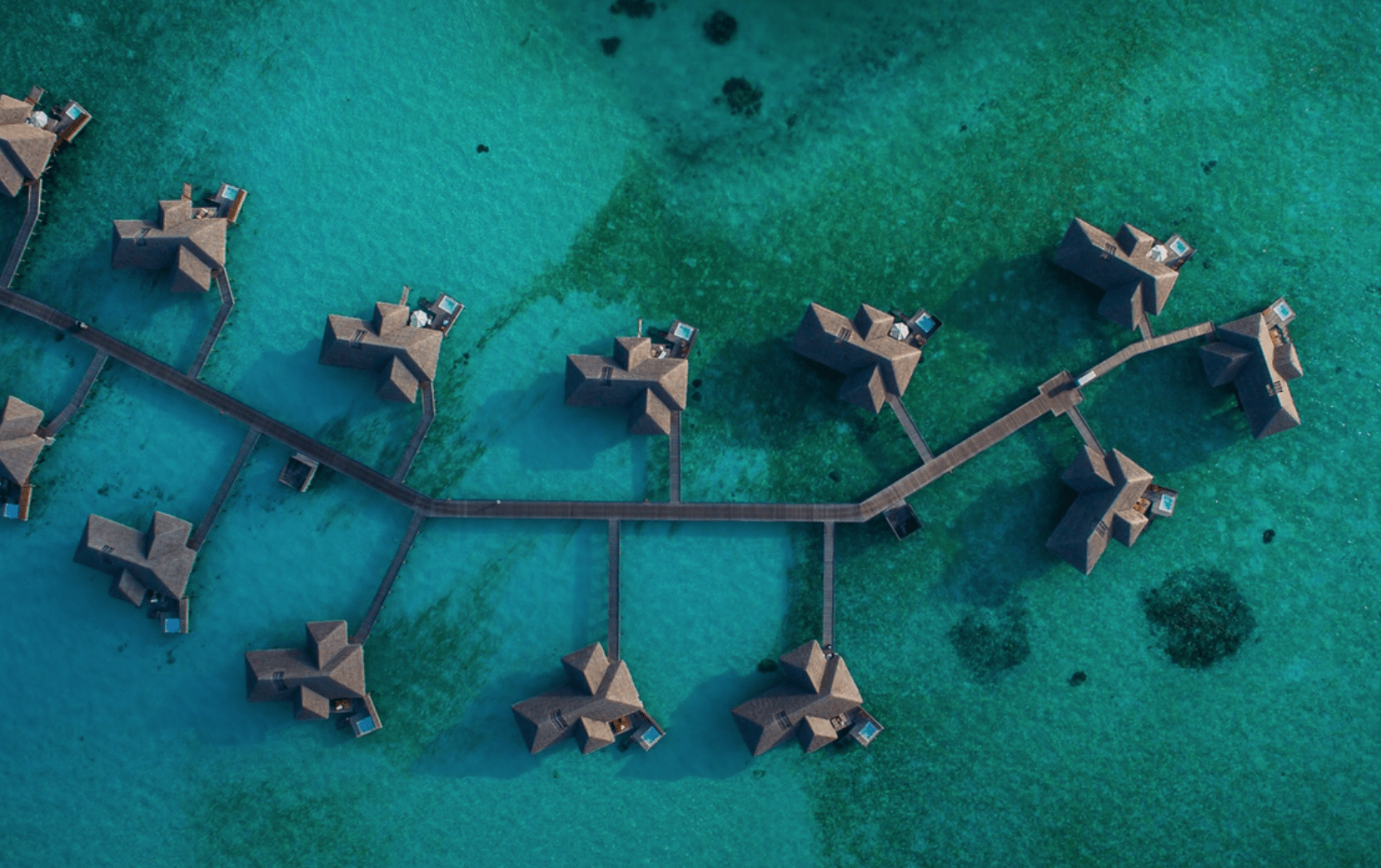 screen-shot-2016-11-28-at-11-23-31-am