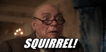 The 9 best Christmas travel movies of all time 15 christmas-vacation-squirrel