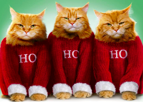 The Daily Travel Agent Bite: Fri 23 Dec 42 screen-shot-2016-12-23-at-8-09-45-am