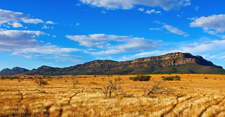 New Guest Experiences at Wilpena Pound Resort