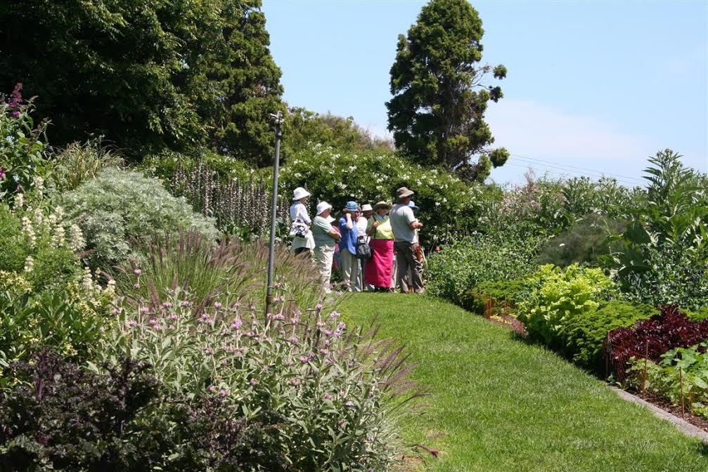 The Daily Travel Agent Bite: Tues 3 Jan 25 Travel Agent botanic