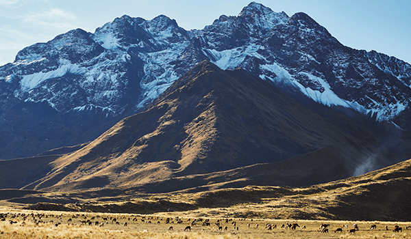 Chimu Adventures showcases Top 5 Latin American train journeys 19 chimu-karryon