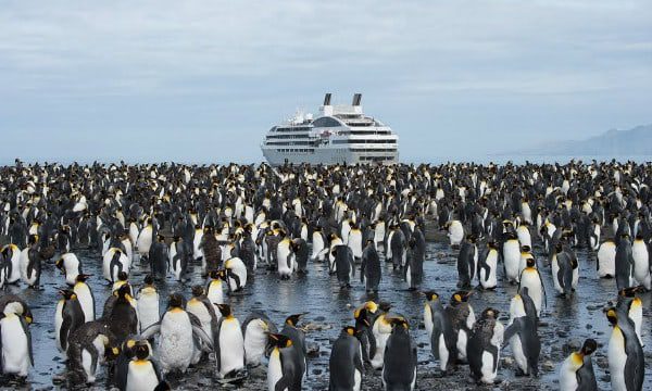 Is Antarctica really under threat from tourism?