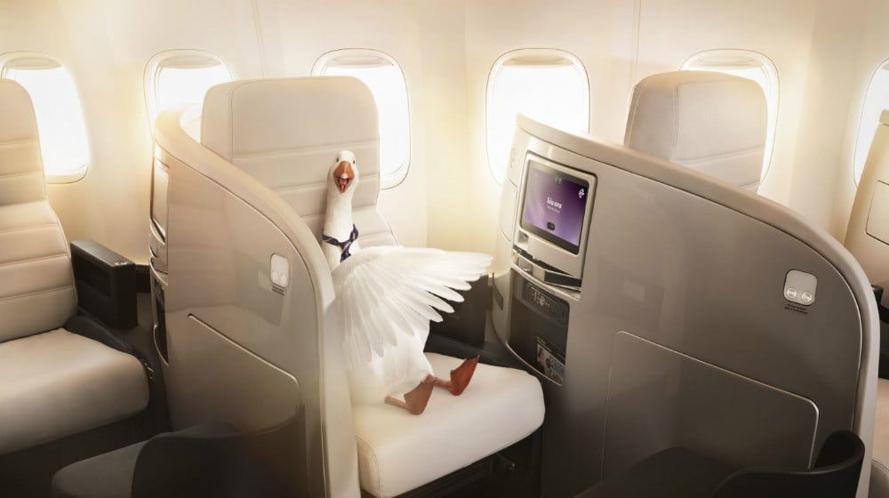 Hey Adelaide, this could be you livin' the Air New Zealand 'Dream'