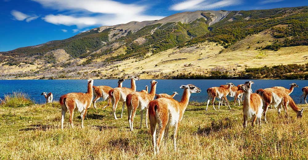 Why Chile should be your client's next adventure