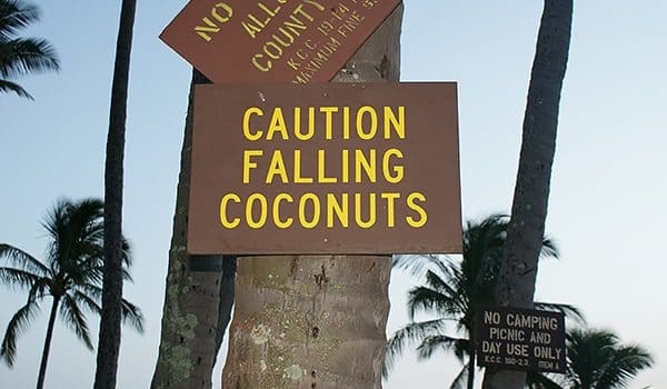 coconuts-karryon