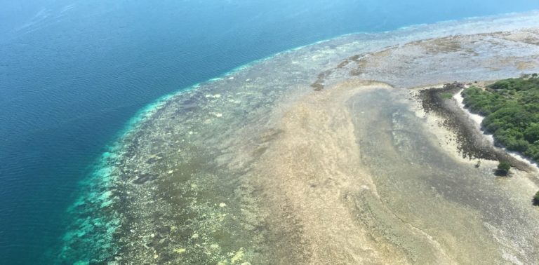 Bad news keeps coming for the Great Barrier Reef