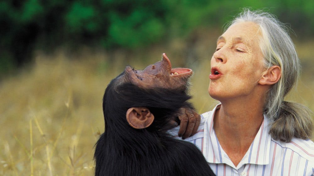 G Adventures inspires women with Dr Jane Goodall