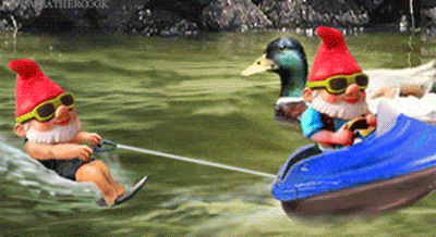 How far in advance are Australians booking travel & where are they going? Flight Centre finds out 14 SPEEDBOAT-1