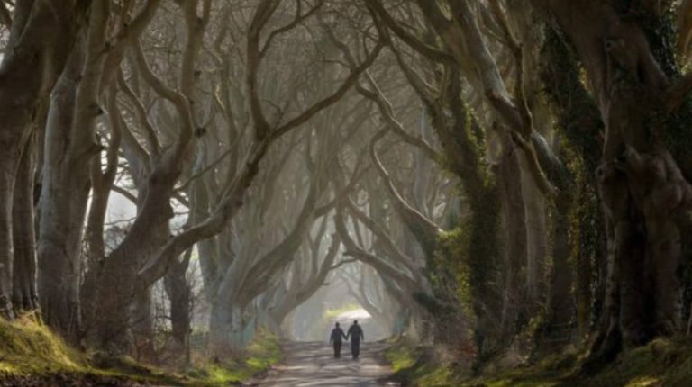 Tourism Ireland reigns with ‘Doors of Thrones’ campaign