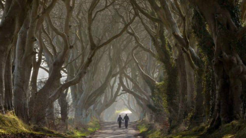 Tourism Ireland reigns with 'Doors of Thrones' campaign