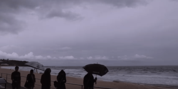 Screen Shot 2017-07-07 at 11.02.59 AM