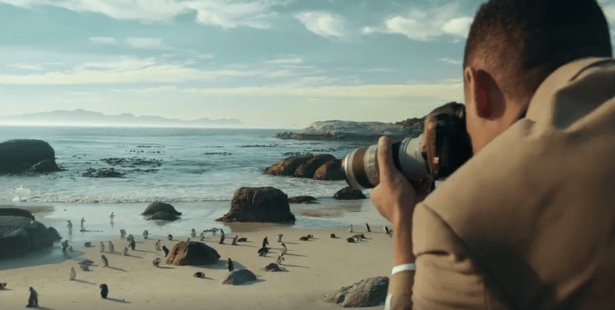 Screen Shot 2017-07-07 at 11.03.42 AM