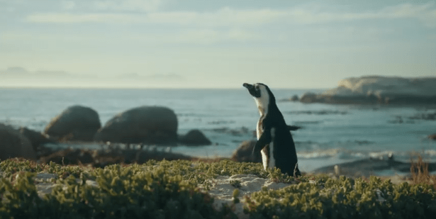 Screen Shot 2017-07-07 at 11.03.54 AM