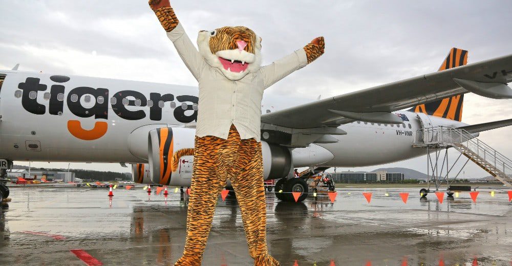 ROAR! Virgin Australia says it MAY use Tigerair across the Tasman