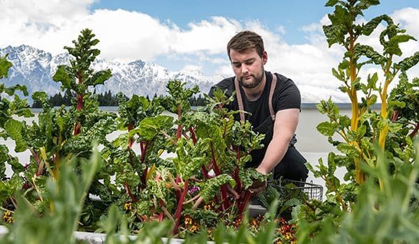 rooftopgarden-qt-karryon