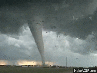 From the air: Craziest pilot announcements, ever 28 giphy