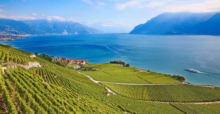 Get more out of a guided tour of Switzerland