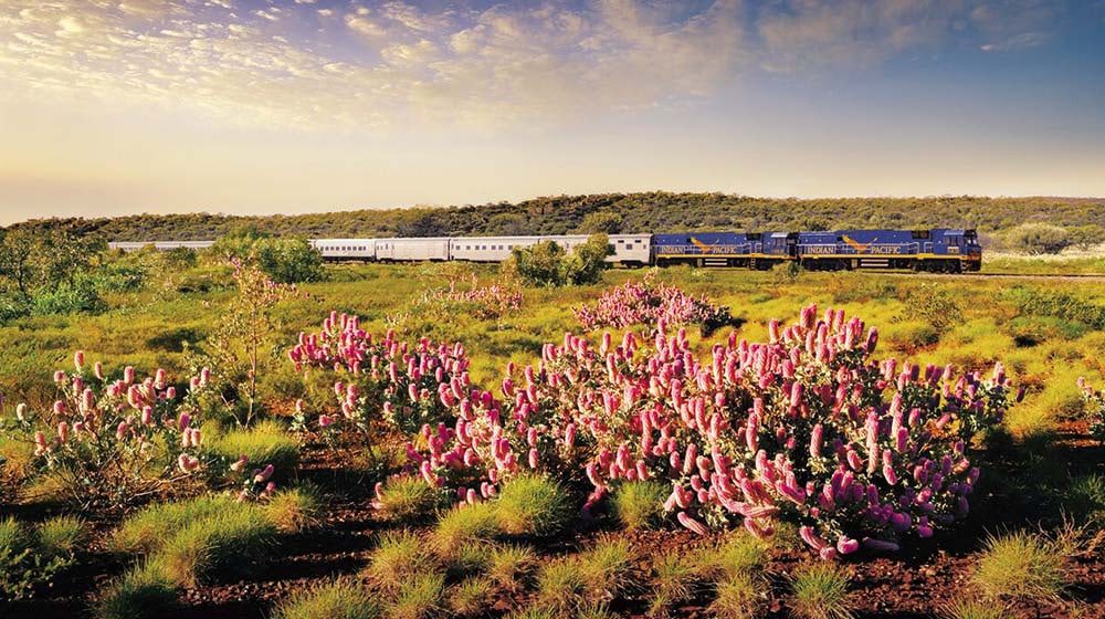 10 amazing things about travelling on the Indian Pacific