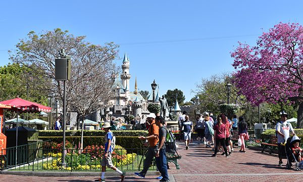 Disneyland 3