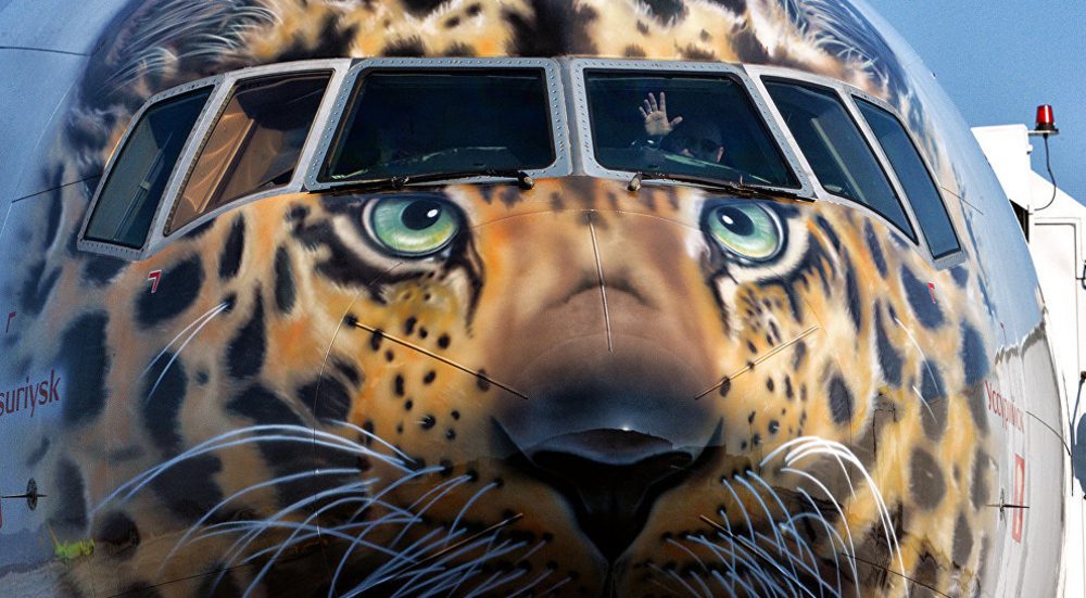SKY ART: Top five coolest airline liveries getting around right now