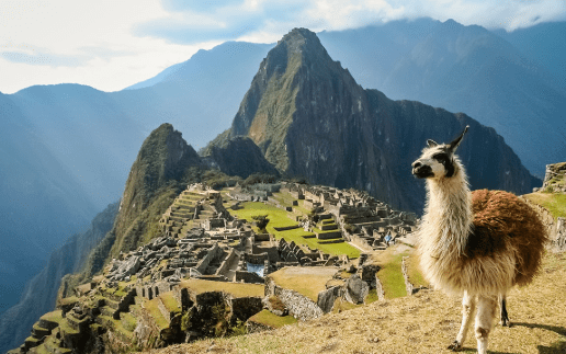 #travelforlife: Melissa Elf GM of FCM Travel 32 Screen Shot 2018-05-09 at 3.10.06 pm