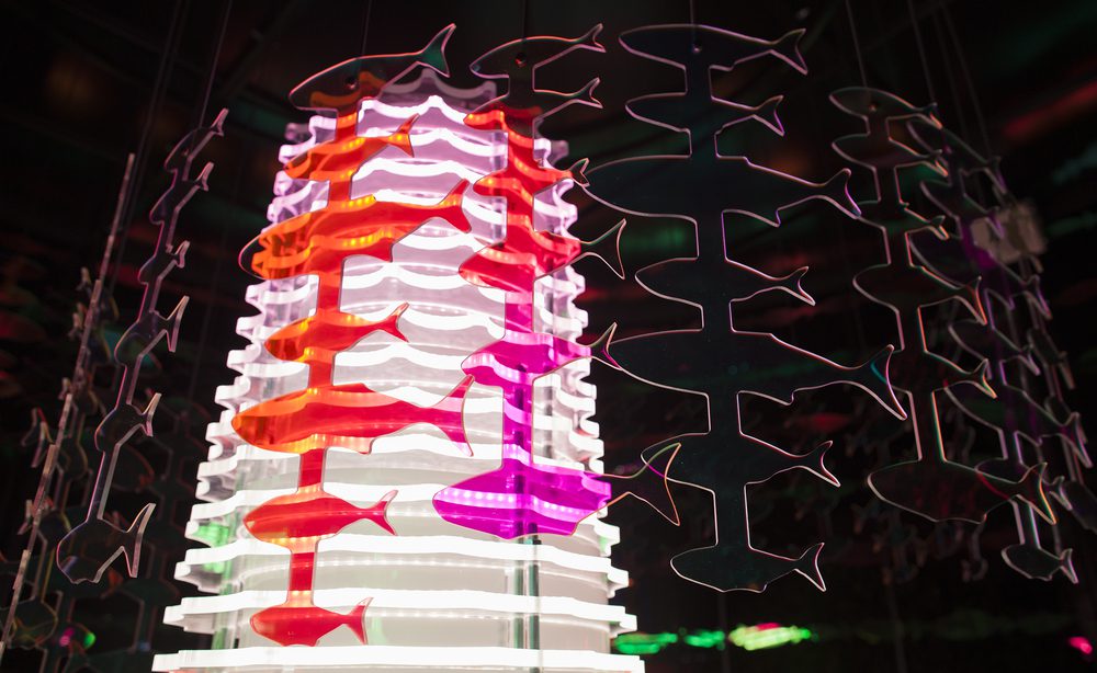 Vivid Sydney installation gives visitors the chance to help save The Reef