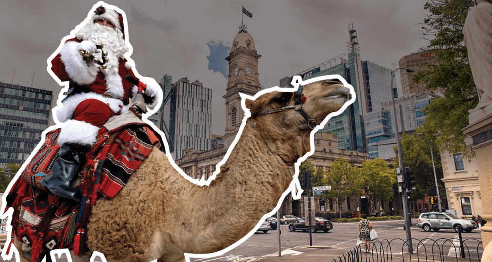 WHAT A RIPPER: Tourism NT offers to save Christmas in Adelaide