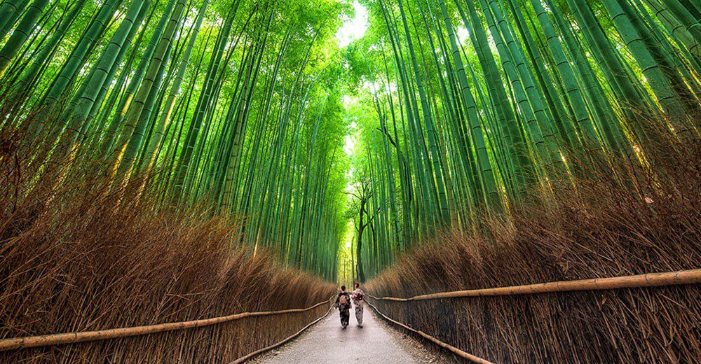 GO BEYOND THE SURFACE: Japan will definitely surprise you
