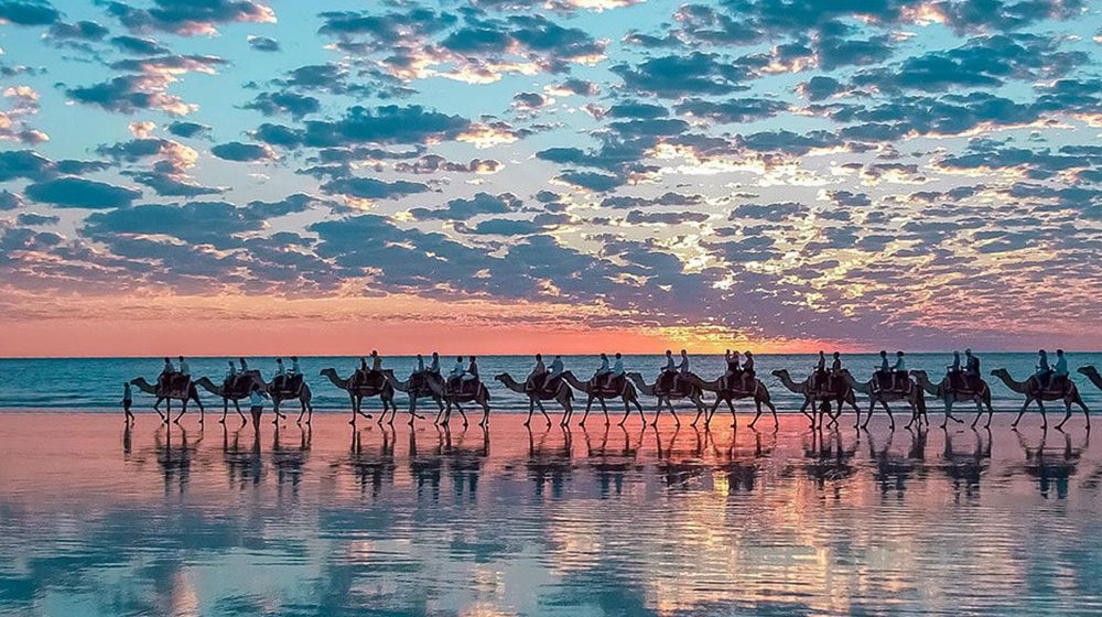 CAMELS, CARS & NUDISTS: A bad combination for Cable Beach