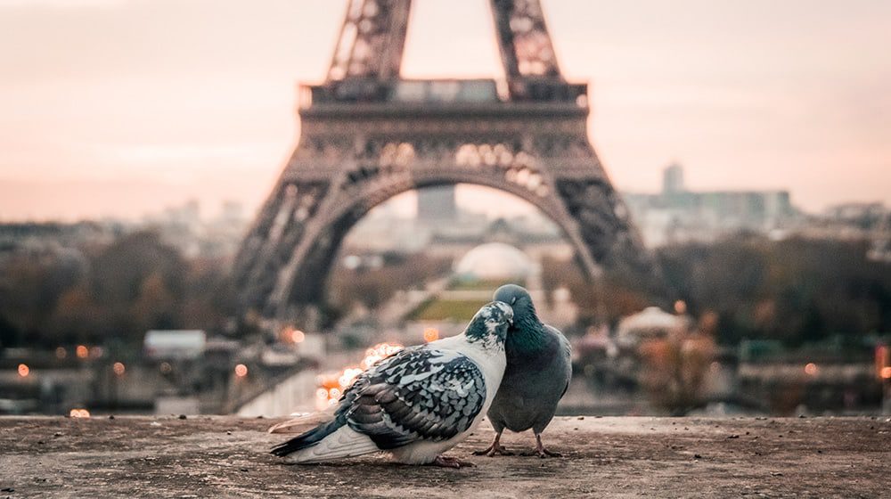 #TRAVELHACKS: 5 ways to keep the spark alive when travelling the world