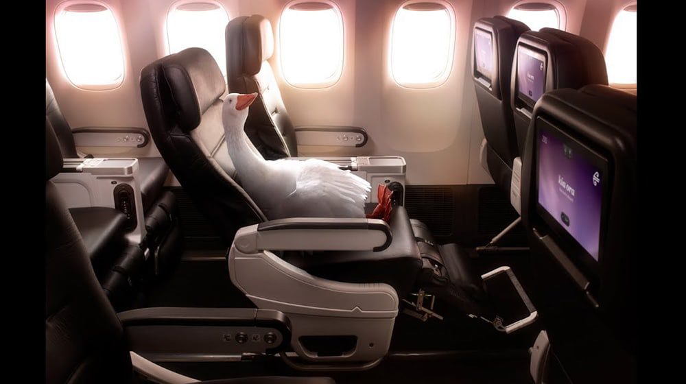 LIKE FIRST CLASS: The airline with the 'Best Premium Economy' is... Air NZ