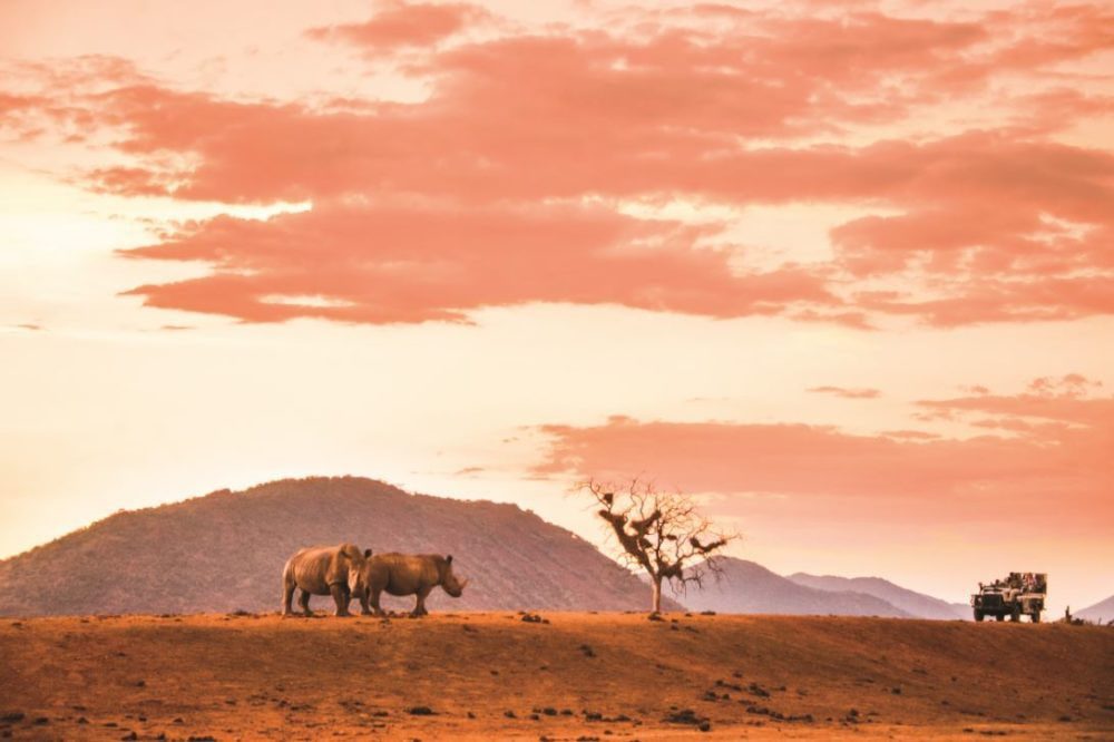 SO EXCITING: Contiki to enter Africa's wild East and South for the first time